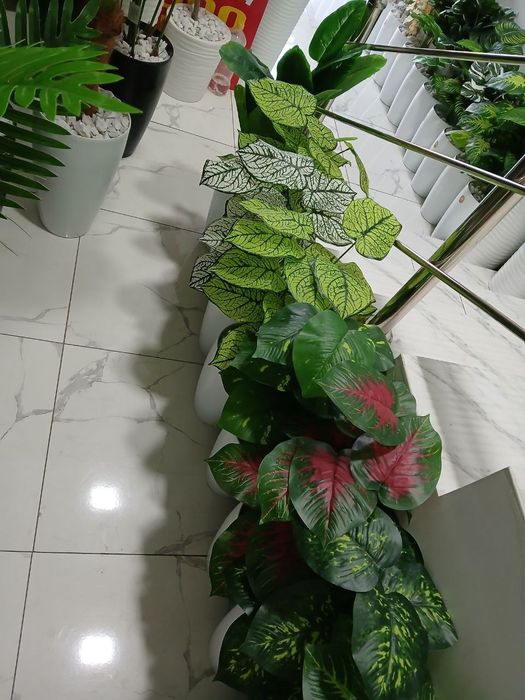 Суний гуллар. Искусственные цветы и деревья. 100.000