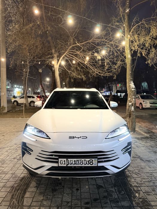 BYD Champion Gibrid 110km FL