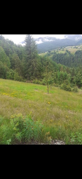 Vand teren intravilan în Arieseni asfaltat apa curent  etc