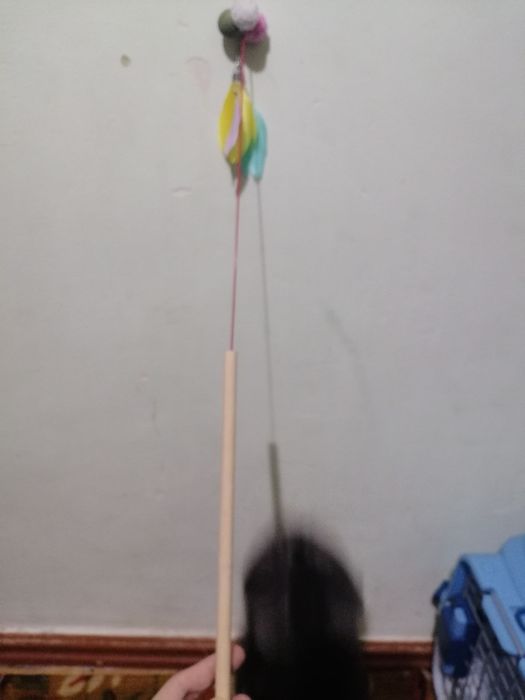 Товары для кошек