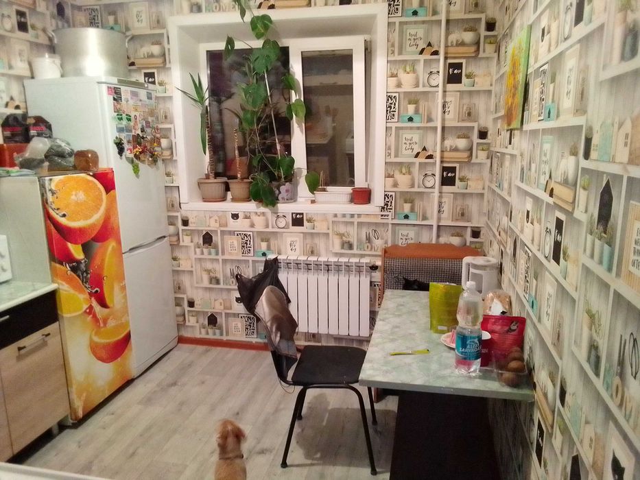 Трех комнатная квартира