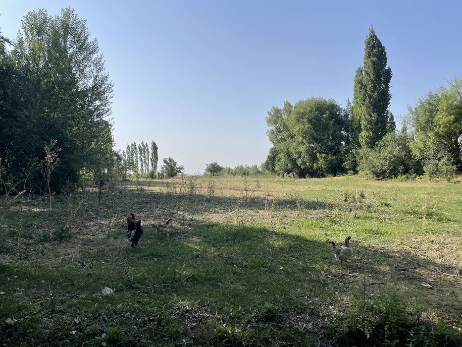 Участок 70 сотка