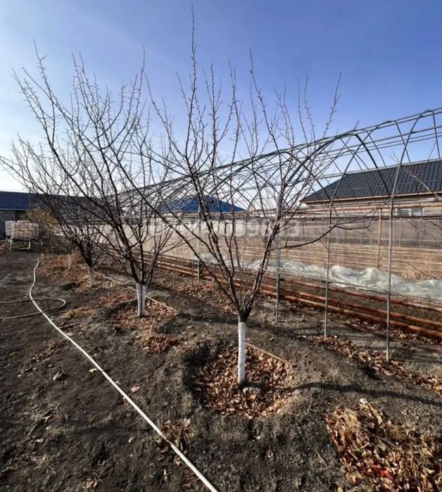 Продам теплицу  с катлом