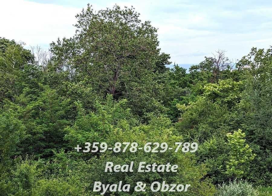 Продава се Парцел в Бяла - 1040 кв.м за 60 €/кв.м - Снимка #12