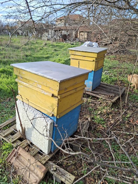 Ръчна центрофуга за мед и два използвани големи кошера