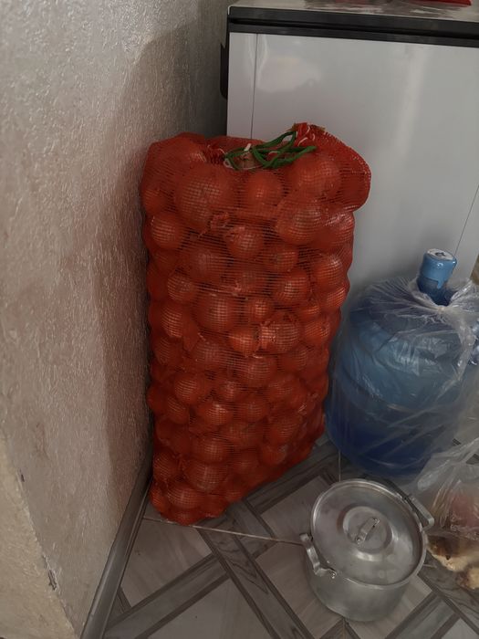 Продается лук одна сетка 2200тенге