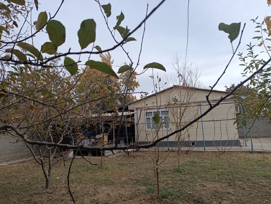 Дача 7 сотих хамма шароти бор