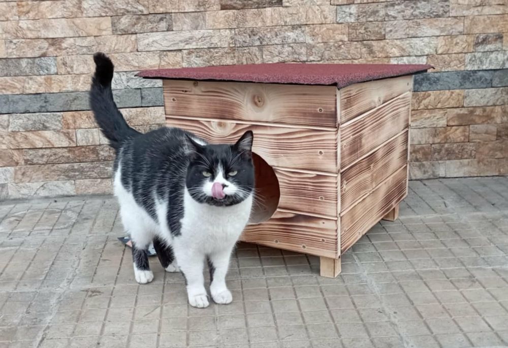 Дървена къща за котки и малки породи кучета , къща за котка куче
