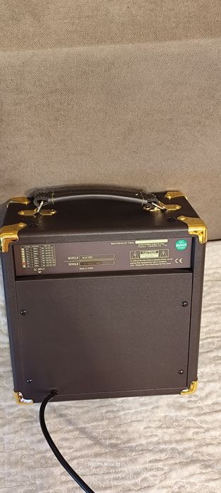 Amplificator SX-10W