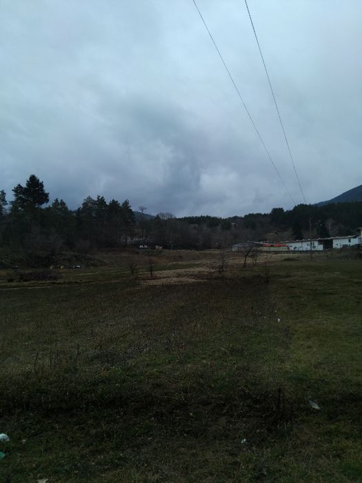 Продава се Парцел в Сапарева баня - 4000 кв.м за 41 €/кв.м - Снимка #3