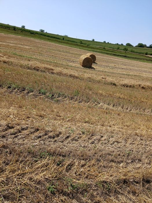 Baloti  paie 2025 si jd 2140