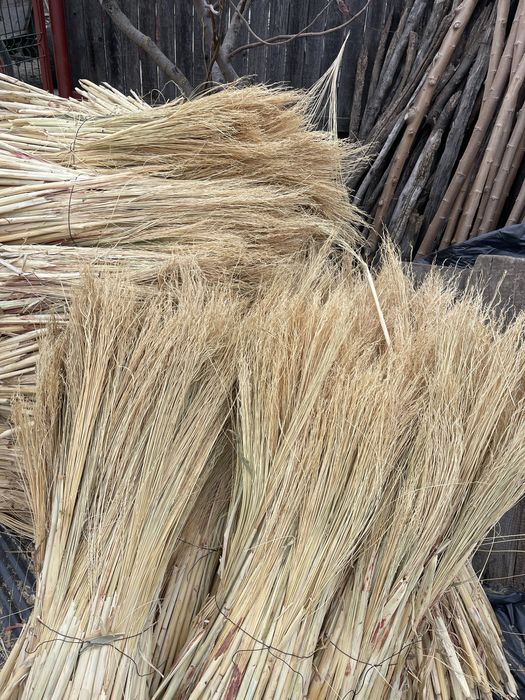 Tel/paie pentru maturi