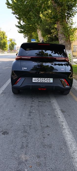 BYD Seagull 2024