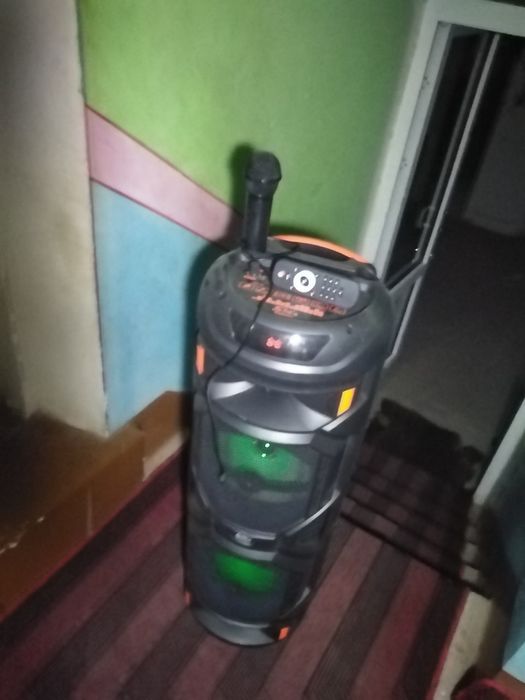 Kalonka sotiladi buyi 80 sm