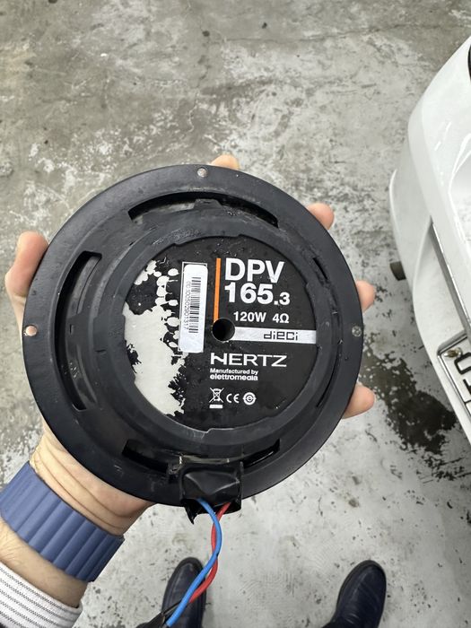 Динамики hertz калонка