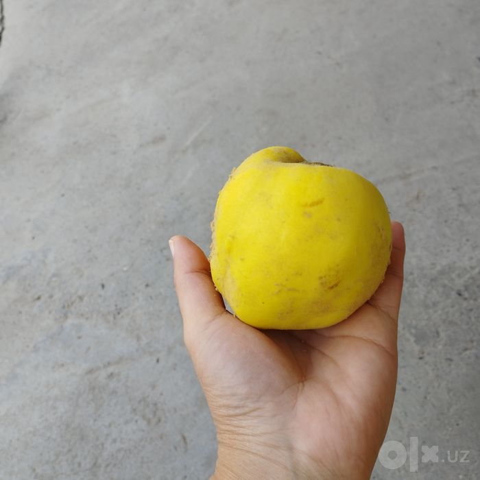 Продается    айва