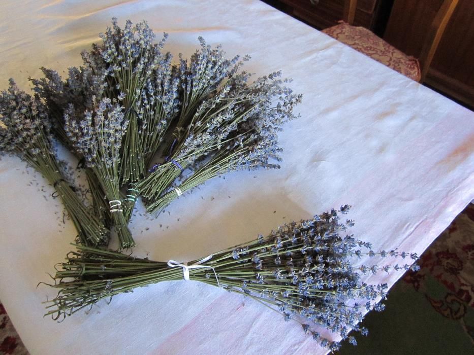 Halat dama, BUMBAC 100% + bonusuri+ *livrare gratuita*