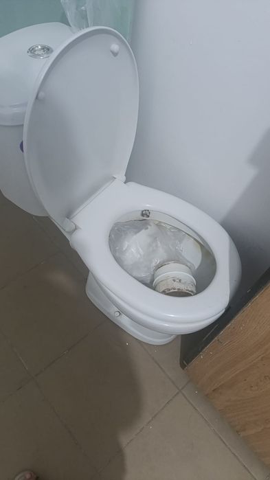 Бесплатно самовывоз пролллии