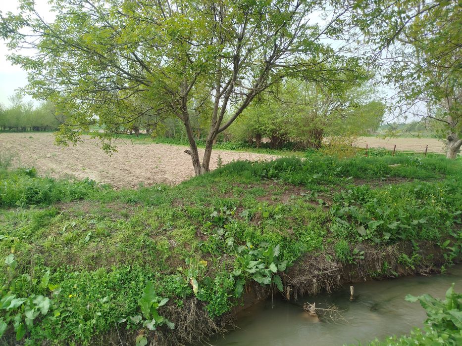 Yer uchastkasi 6 sotixdan  70sotixgacha qib beramiz hujatida muamo yoq