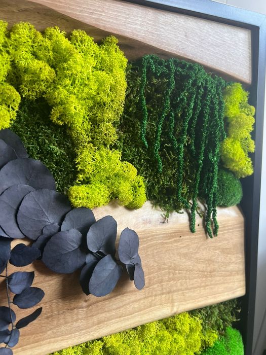 Tablou premium mușchi stabilizat + lemn nuc 50x40 cm handmade