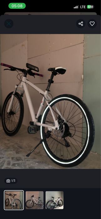 spartivni velik obnen