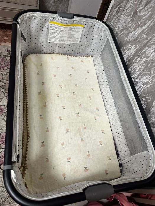 Көп ұсталмаған ноябырда алынған