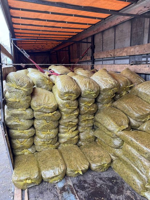 Макка сенаж сотилади.