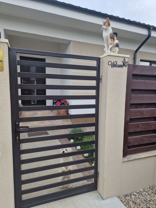 Îngrijire animale de companie talie mica și blande