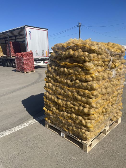 Cartofi +55, Mere , varză, morcovi