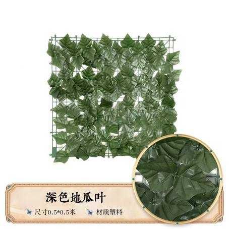 Забор Ограждения из растений - фитостена