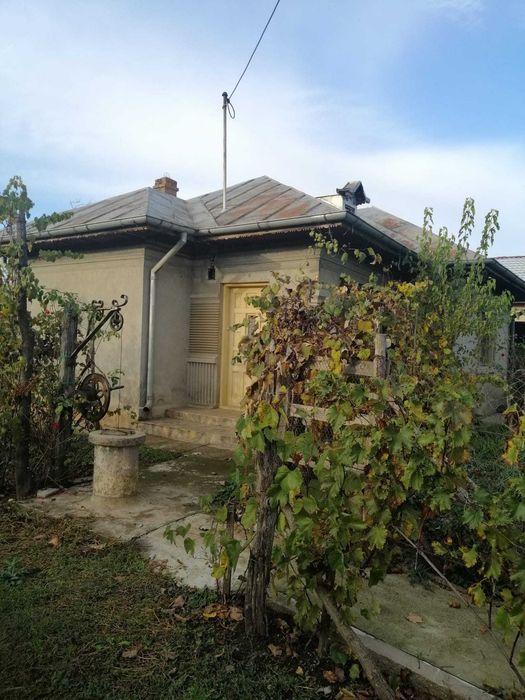 Terenuri intravilan de vanzare in Sinesti, Ialomita