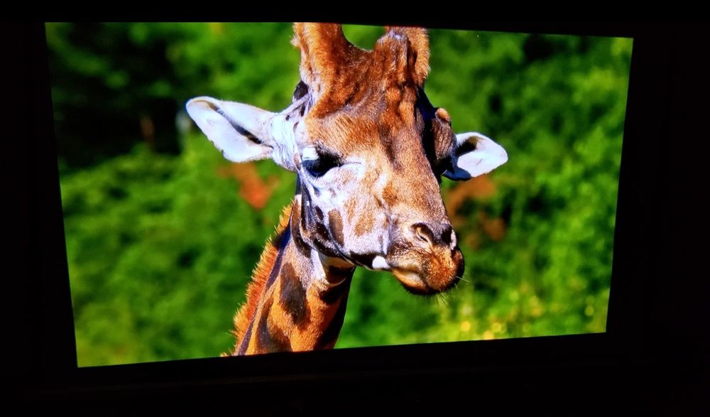 Пршектор Voxflix m25 смарт