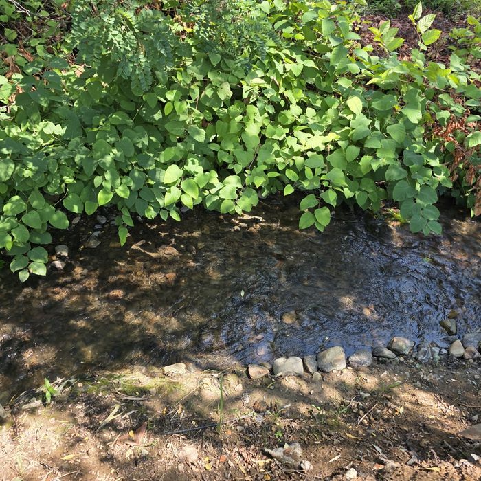 Casă de vânzare, zona Valea Borcutului