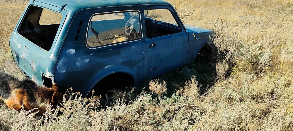 Кузов от нивы продам