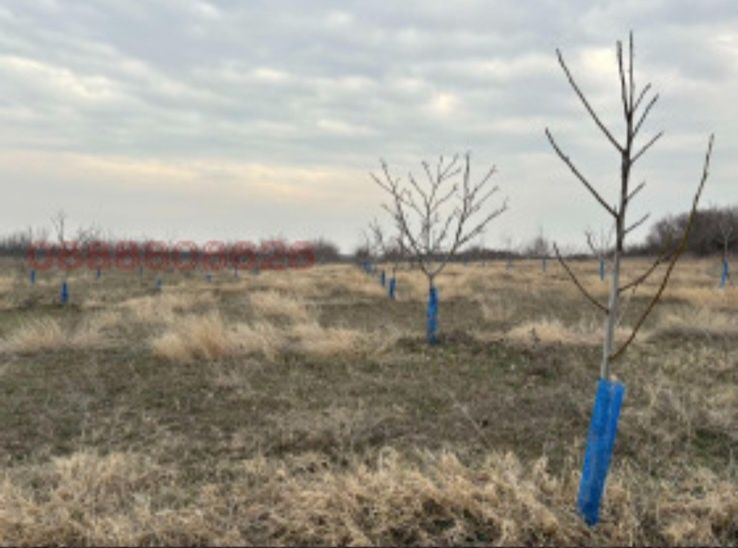 Продава се Земеделски имот в Перущица -  кв.м за 4857 €/дка - Снимка #6