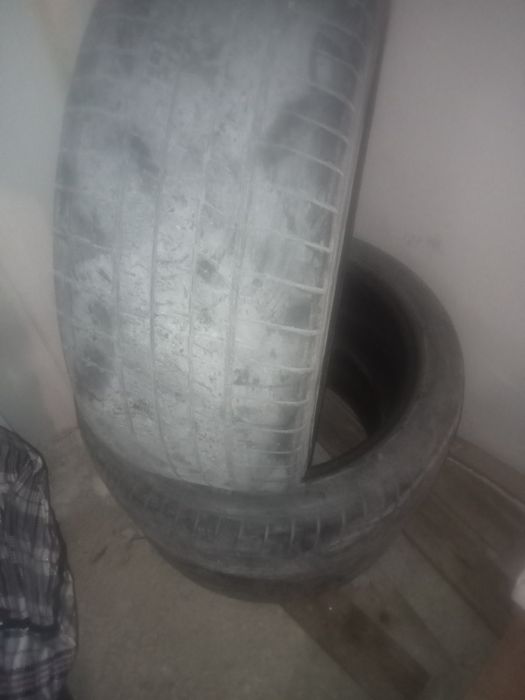 Аяқ, балон, шина