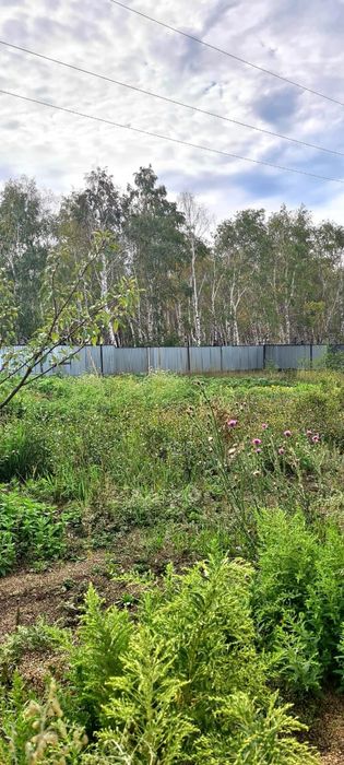 Продаём дом с магазином в Бурабай