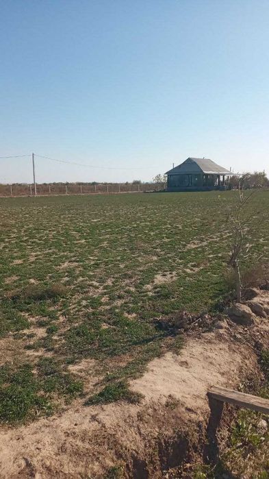 Tomorqa sotiladi zudlikda Bandixon tumani Bandixon mahalla Qadam tomon