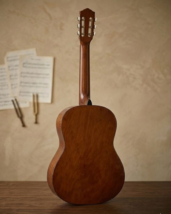 Гитара Starson CG-100