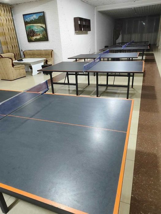 Stol tennis стол тенис ping pong