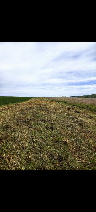 Curățare teren, curățare pasuni, defrisare, intretinere