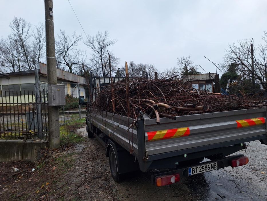 Косене , премахване и рязане на дървета
