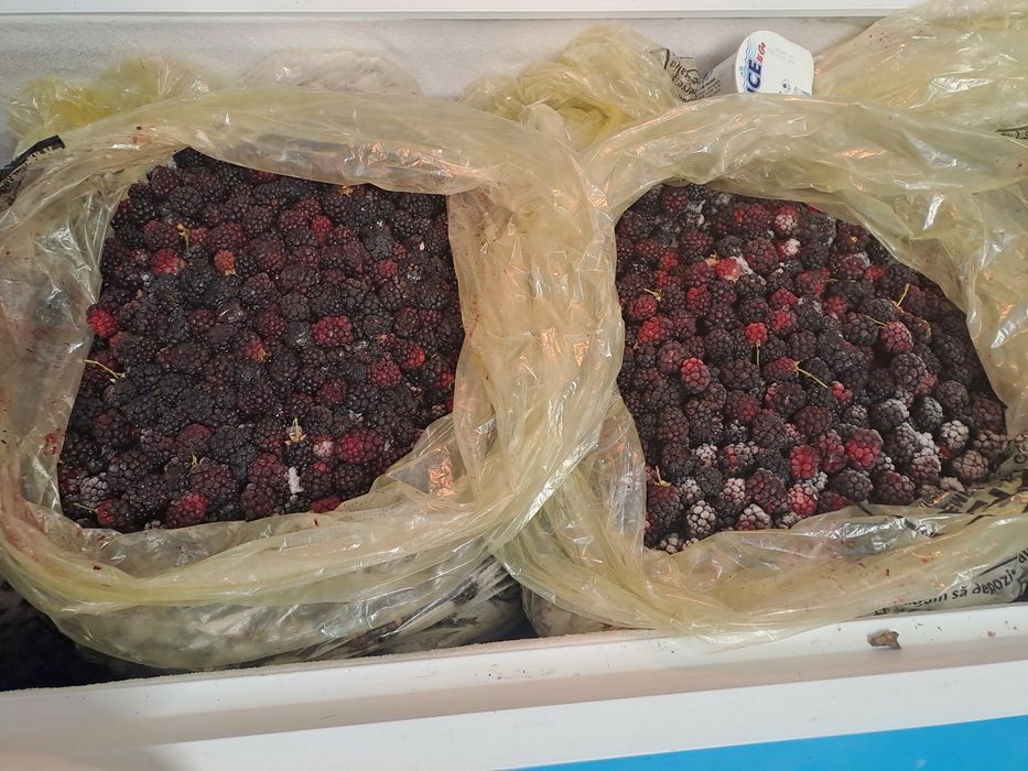 Vand mure congelate