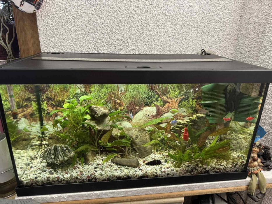 Аквариум за рибки- Eneim Agustar54 LED