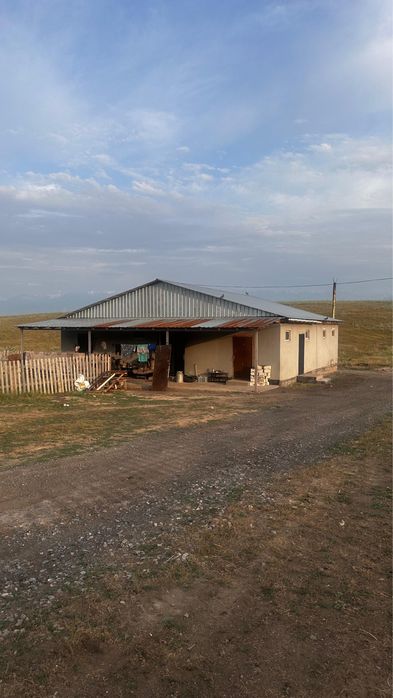 Фазенда для КРС и птицы