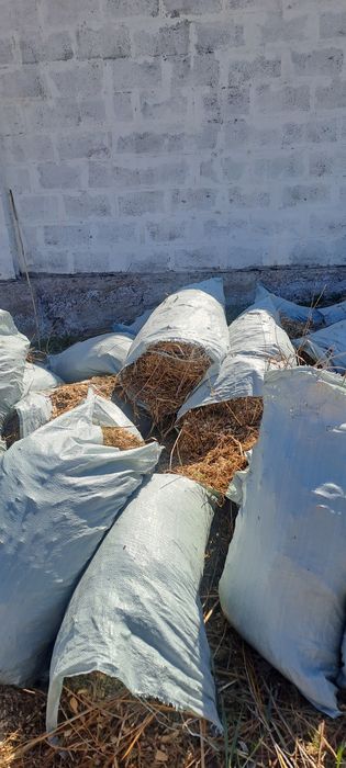 Отдадим дробленые ветки самовывоз.