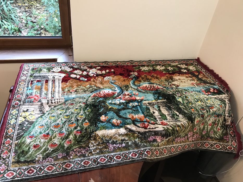 Carpeta integra rusii munti transilvania 1965”-