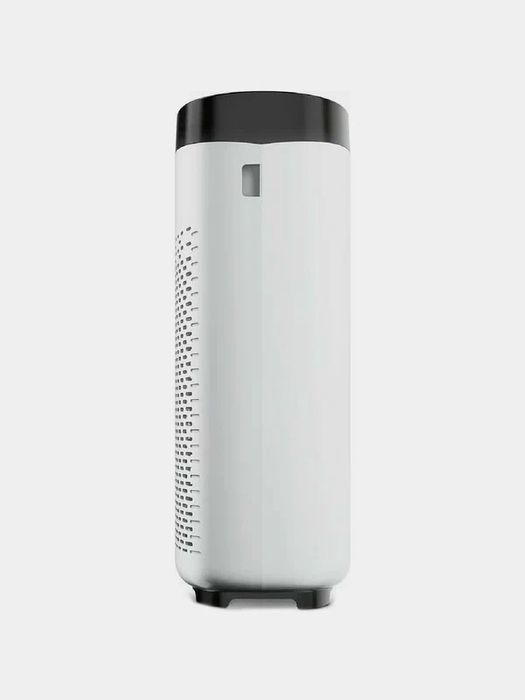 Очиститель воздуха Tefal Pure Air Essential PT2530F0