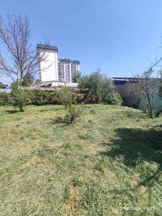 O't o'rish xizmati