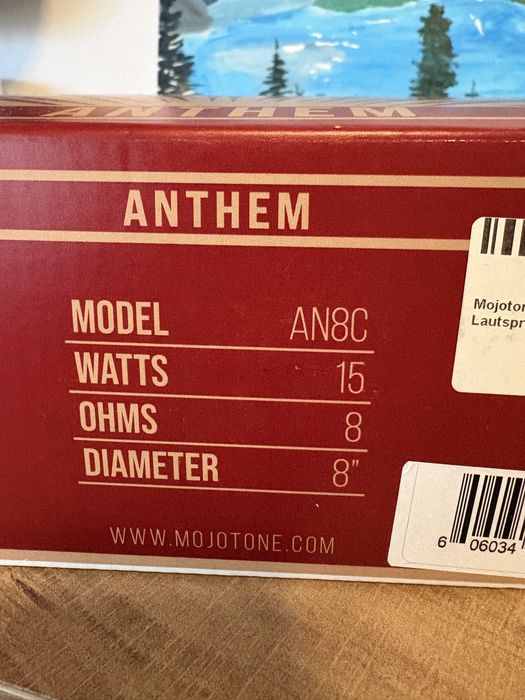 8 инчови китарни гворители